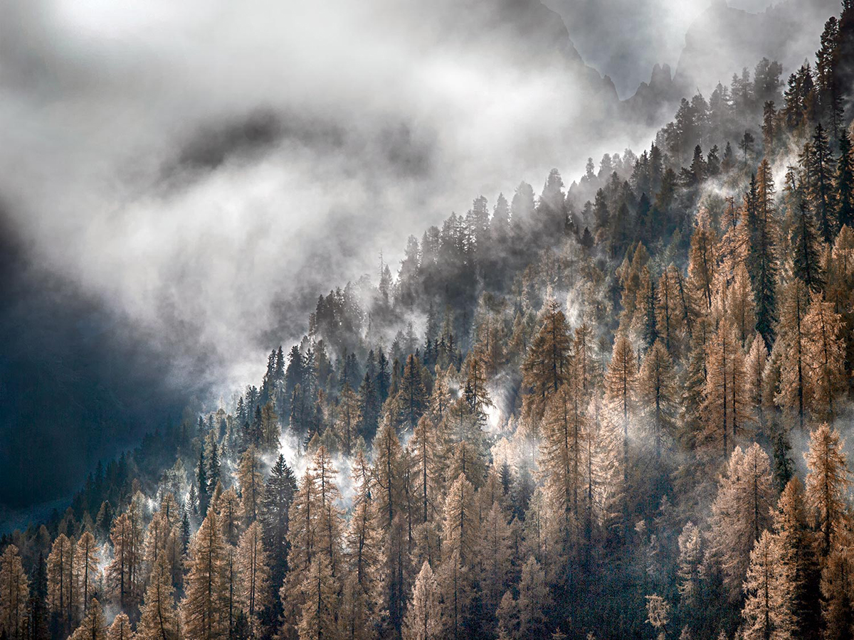 nebbie autunnali in Val Venegia Trentino